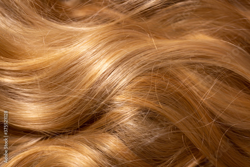 Background hair light brown closeup. Female long blond hair close-up as a background. Beautifully laid wavy shiny curls.Hair coloring. Hairdressing procedures. Copy space with space for text.