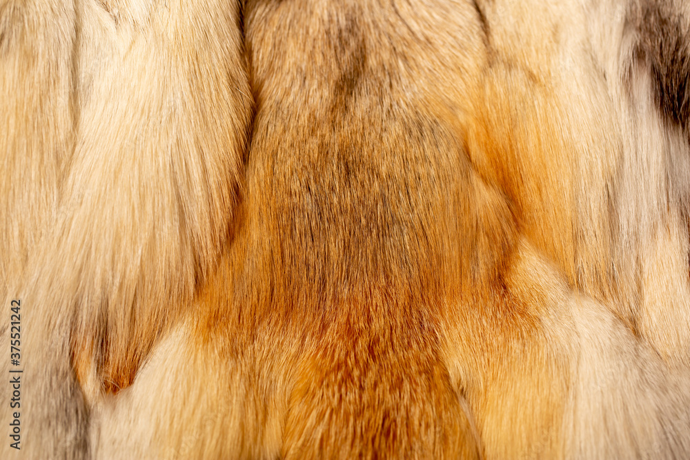 Fox fur close up. Redhead animal fur background, fur pile texture. Fox fur close up. Redhead animal fur background, fur pile texture.