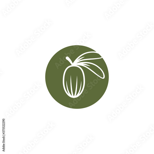 Shea nut green icon. vitellaria beauty and cosmetics oil.