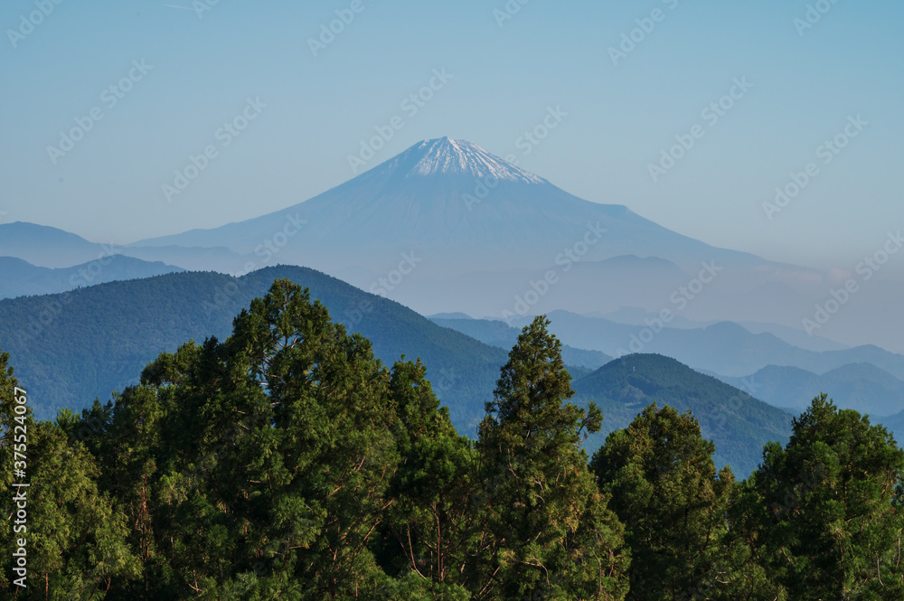 粟ヶ岳から見る富士山