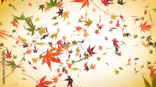 Wallpaper Mural Autumn Japanese Maple Background Torontodigital.ca