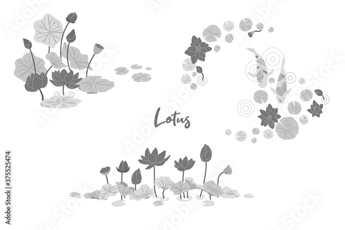 蓮のイラストセット