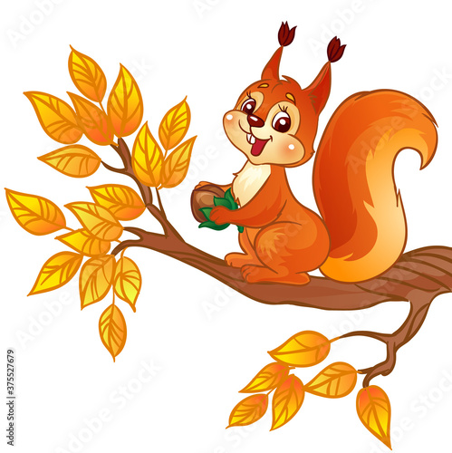 Cute cartoon squirrel with a nut sitting on autumn branch. Isolated vector Illustration on a white background. (ID: 375527679)