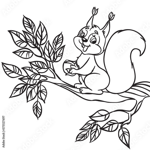 Cute cartoon squirrel with a nut sitting on branch. Isolated vector Illustration on a white background. Outlined for coloring book. (ID: 375527697)