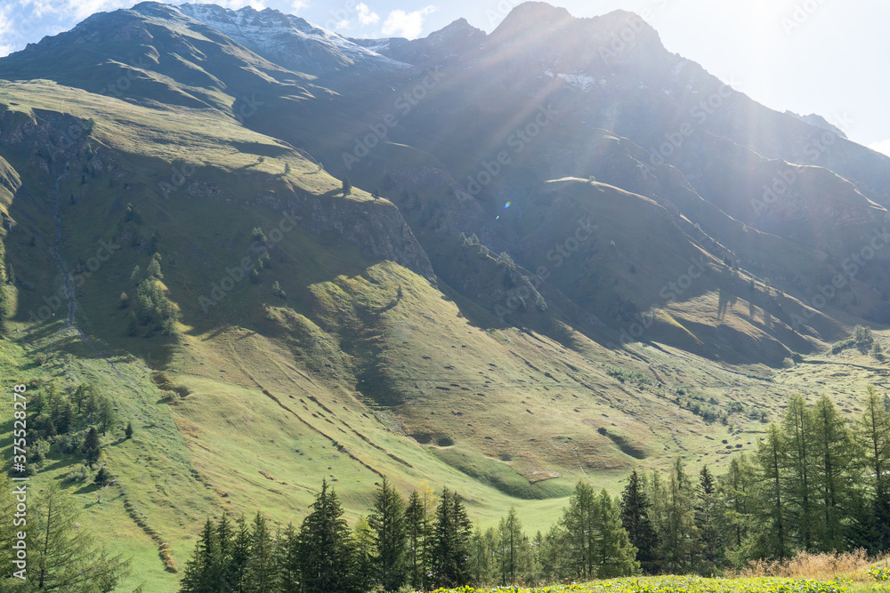 Am großen Sankt Bernhard im Sommer Am großen Sankt Bernhard im Sommer