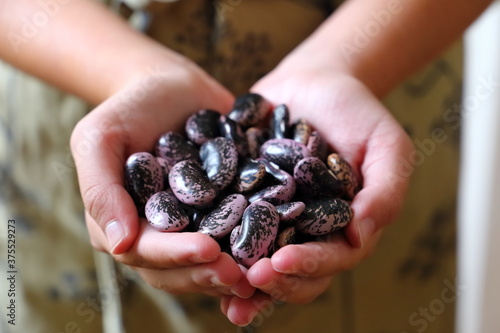 Kind hält Käferbohnen in den Händen