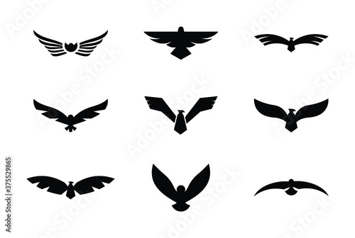 Flying Eagles Solid Icon Pack