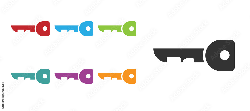 Black Key icon isolated on white background. Set icons colorful. Vector Illustration. Black Key icon isolated on white background. Set icons colorful. Vector Illustration.