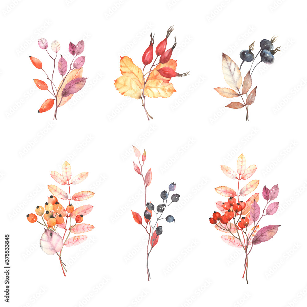 Watercolor autumn set of colorful leaves, branches and berries isolated on white background. Floral illustration for decor, posters, banner, holidays, greeting or invitation cards.