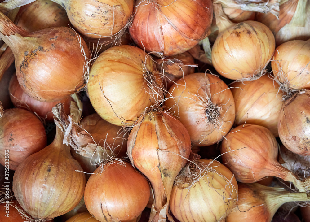 Fresh onions as a background. Pile ripe onions in market Fresh onions as a background. Pile ripe onions in market