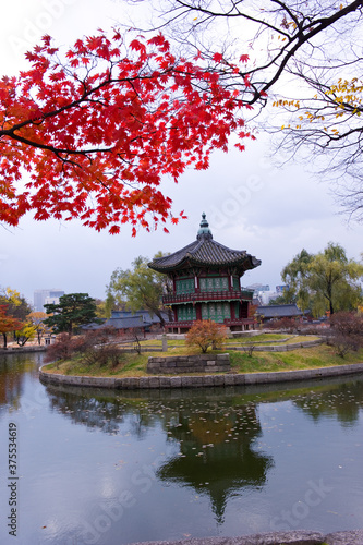 The scenery of Autumn,palace garden,Changdeokgung palace,Unesco World heritage,Seoul Korea. 