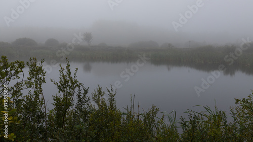 Kleiner See im Hohen Venn im Nebel.