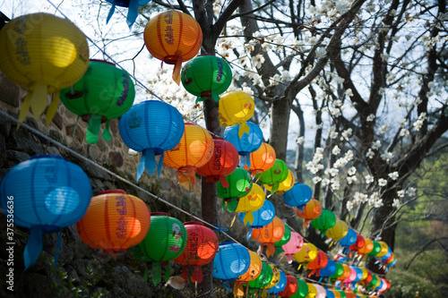 The thousands colorful lotus lanterns at a buddhist temple to celebrate buddha s birthday.