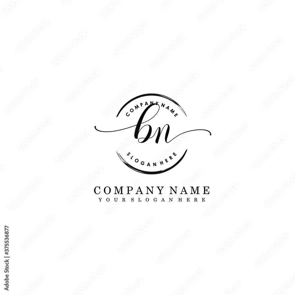 BN Initial handwriting logo template vector
