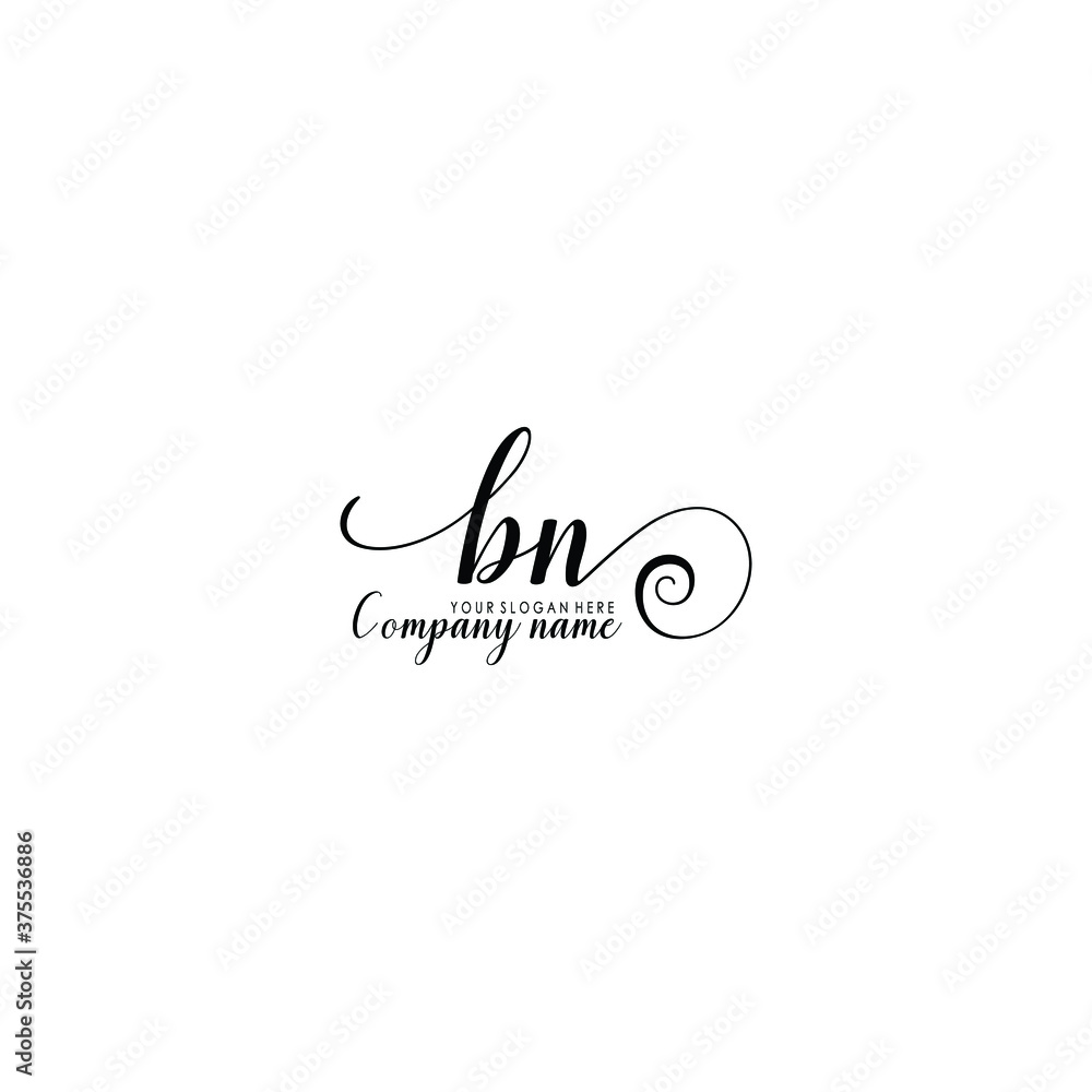 BN Initial handwriting logo template vector
