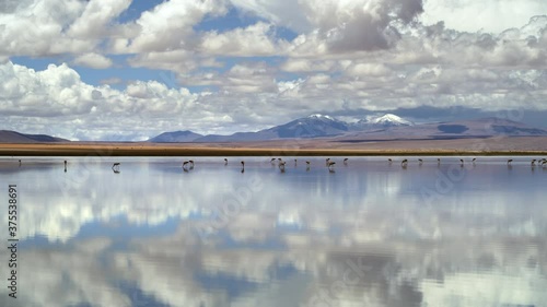 Salar de Chalviri, Bolivia, South America, panoramic view of unspoiled landscape in Eduardo Avaroa Andean Fauna National Reserve showing wild Andean flamingos in Laguna Chalviri. photo