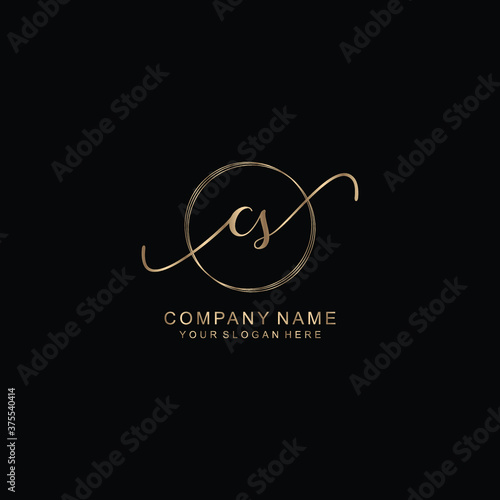CS Initial handwriting logo template vector