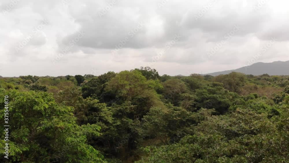 Aerial Shot from tree tops down towards the Jungle River Aerial Shot from tree tops down towards the Jungle River