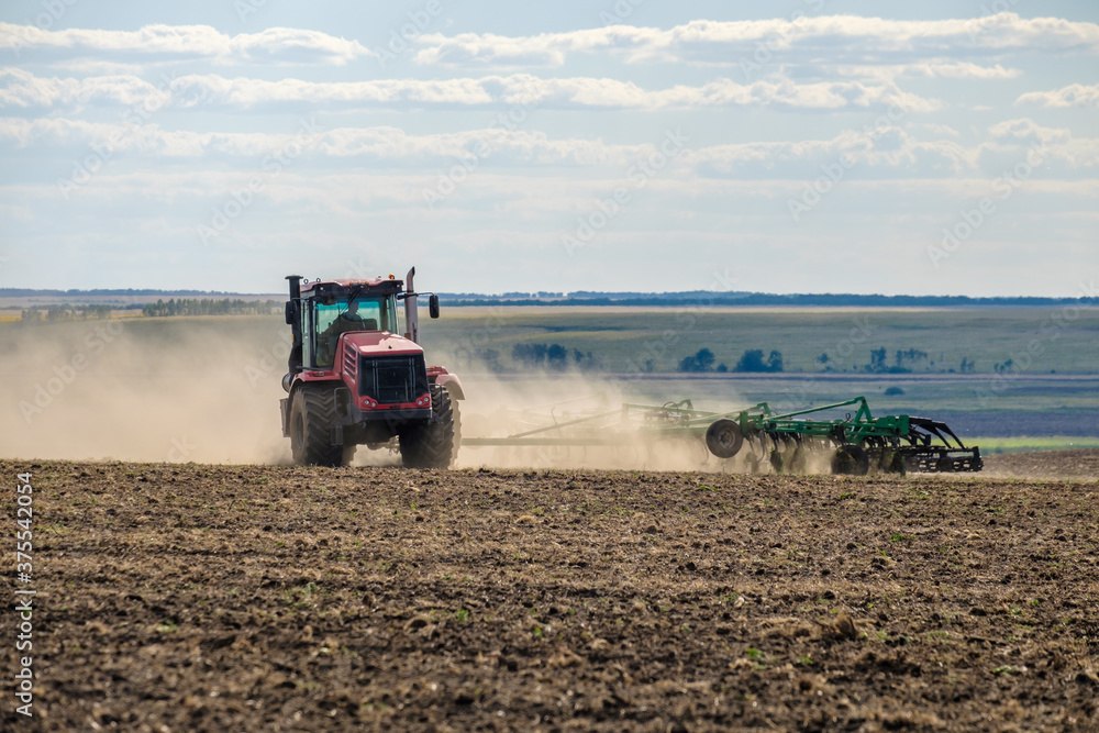 Fototapeta premium A red farm tractor in a cloud of dust cultivates the soil in the field with a cultivator after harvest. Summer sunny day. Fertile land. Modern agricultural machinery. Copy space. High quality photo
