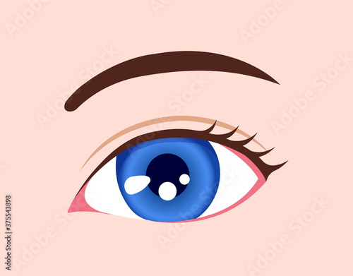 Human eyeball / eye color illustration (blue)
