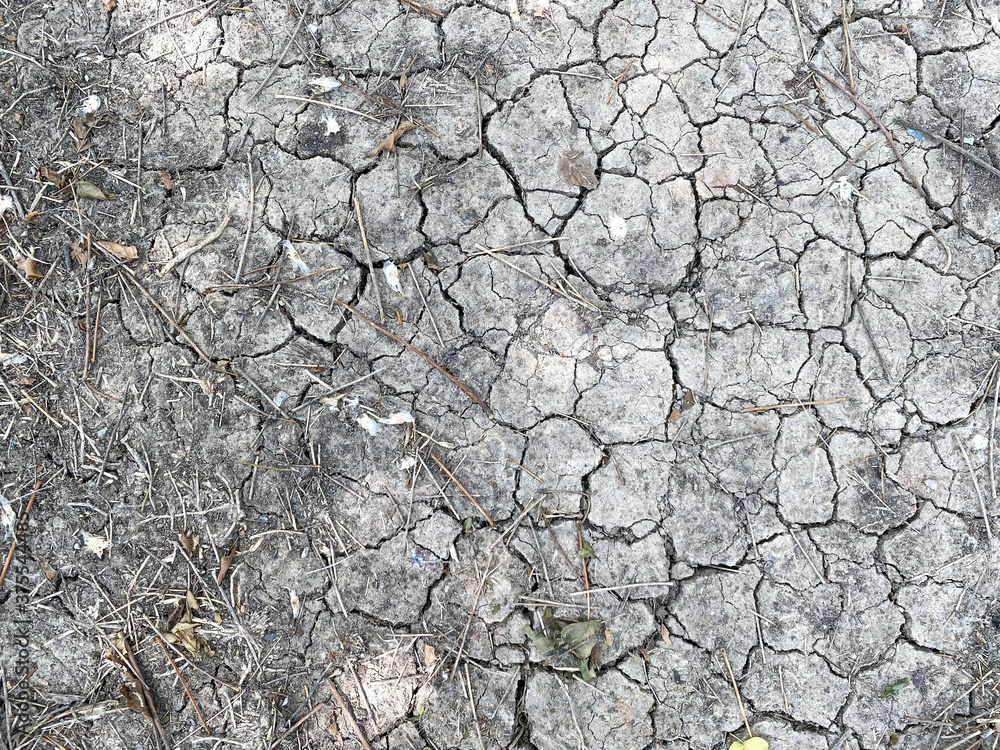 crack dryness soil ground floor background. crack dryness soil ground floor background.