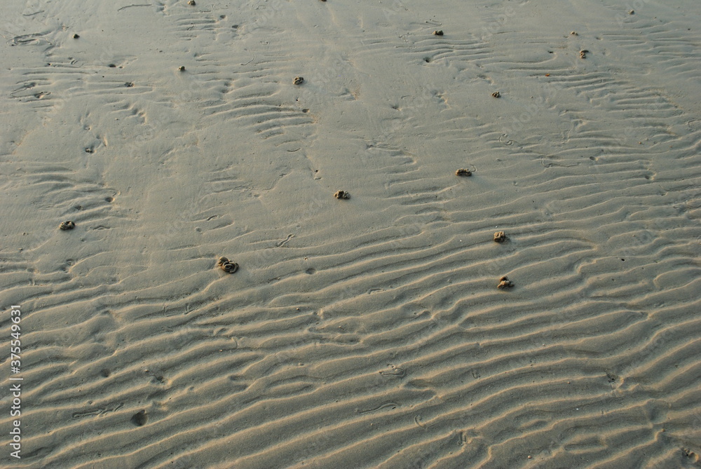 Sandy bottom after low tide Sandy bottom after low tide