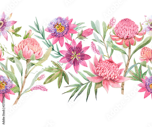 Beautiful horizontal seamless floral pattern with watercolor summer passionflower and waratah protea flowers. Stock illustration. © zenina