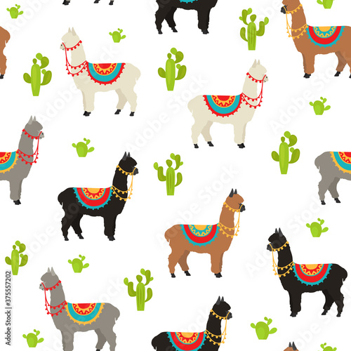Camelids family collection. Alpaca graphic design