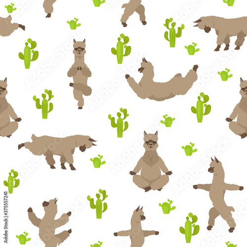 Camelids family collection. Alpaca yoga graphic design