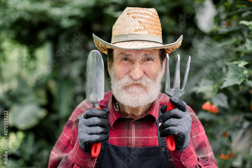 Gardening senior man portrait. Close up portrait of cheerful smiling bearded man, hothouse worker, in straw hat, red checkered shirt, holding in hands gardening tools rake and spade
