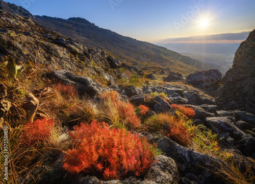 Autumn sunrise in the mountains. Colorful shot with beautiful foreground of nortern nature