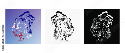 Set of Turkey cock icon for Thanksgiving day. Farm birds silhouette. Design element for poster, emblem, sign, card, banner. Turkey bird painted in colors of USA flag on transparent background