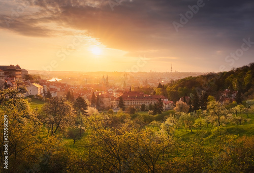 Obraz na płótnie A beautiful spring view of Prague at sunrise from Petrin hill. Prague Castle and St. Vitus Cathedral on the left and a golden rising sun in the background. w salonie