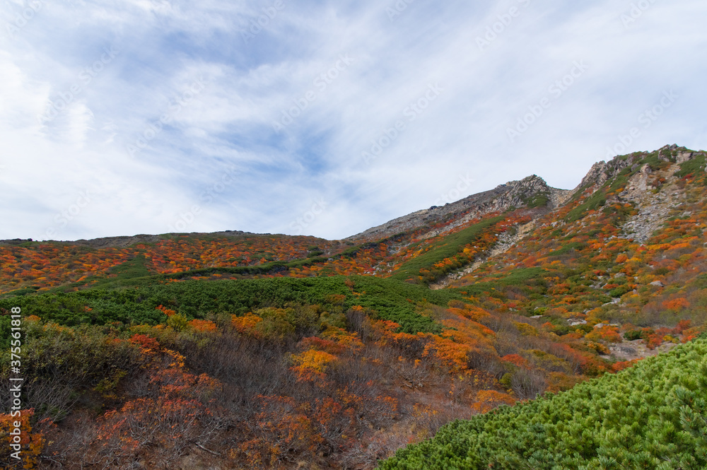 御嶽山八合目　紅葉