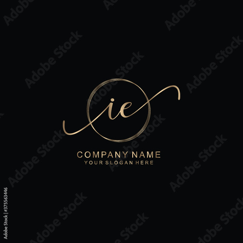IE Initial handwriting logo template vector
