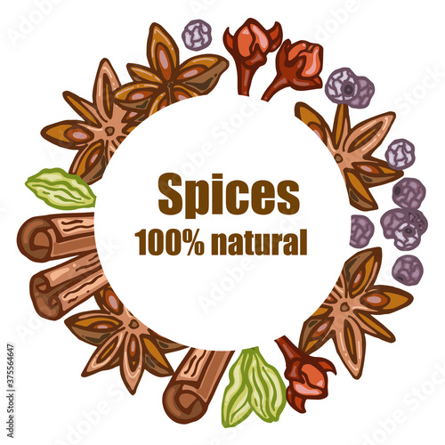 Circle of colorful spices, vector illustration