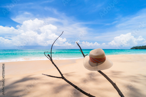 Hat on tree branch at tropical beach with blue sky and white cloud background.