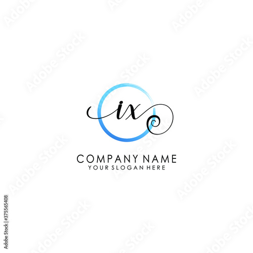 IX Initial handwriting logo template vector
