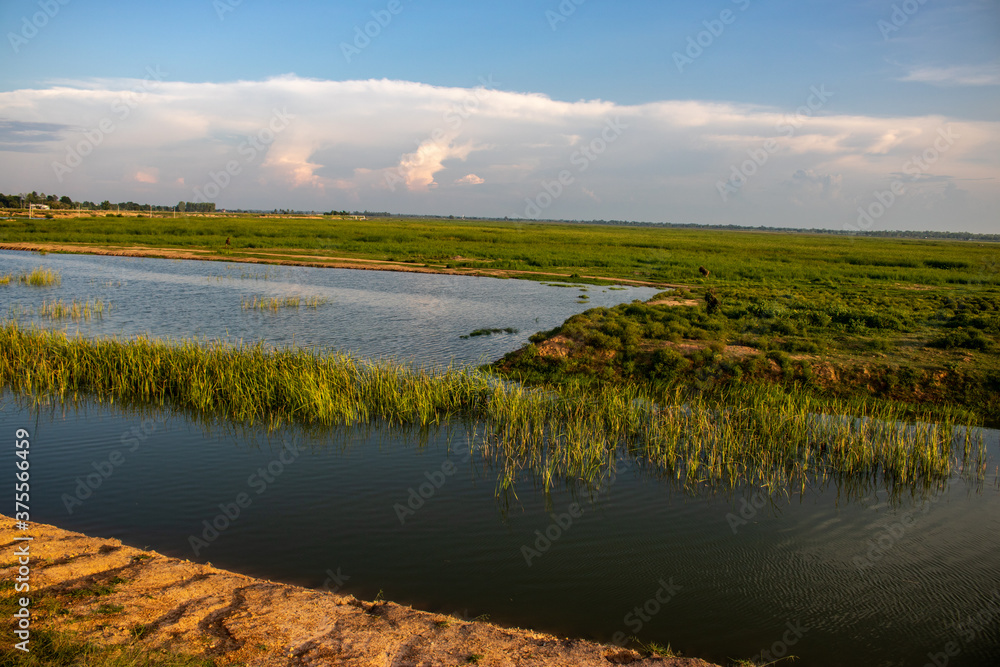 landscape with lake