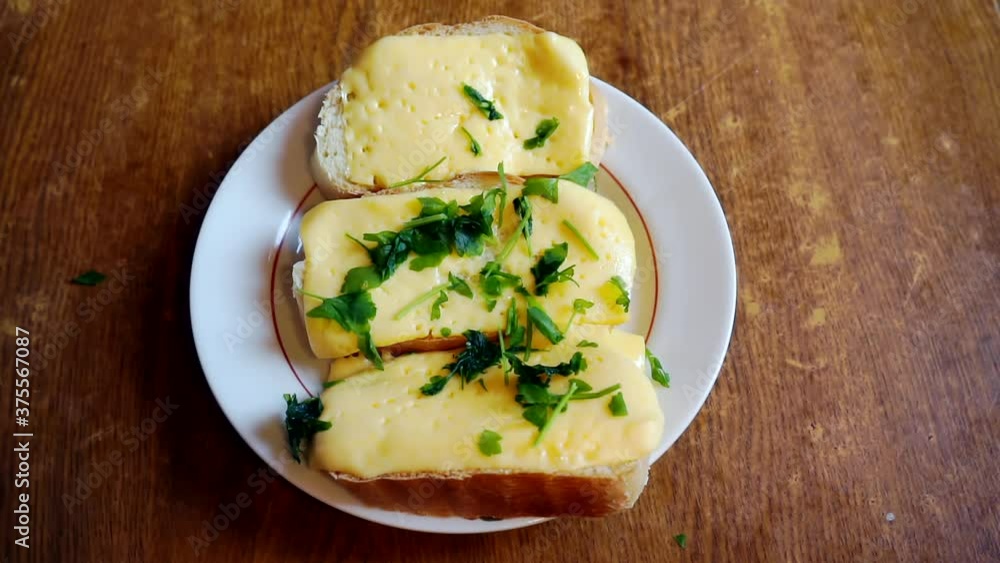 bread with melted cheese and parsley.close-up.view from above bread with melted cheese and parsley.close-up.view from above