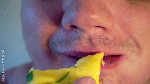 Wallpaper Mural hungry man eats a cheese and parsley sandwich. Torontodigital.ca