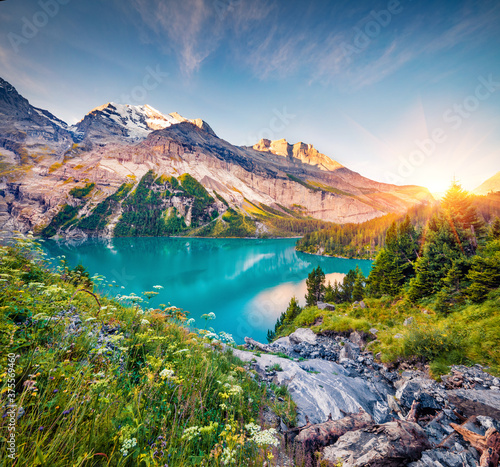 Exciting morning view of unique Oeschinensee Lake. Colorful summer sunrise in Swiss Alps with Bluemlisalp mountain  Kandersteg village location  Switzerland  Europe.