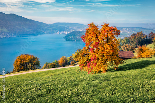 Fototapeta Naklejka Na Ścianę i Meble -  Colorful morning view of outskirts of  Stansstad town, Switzerland, Europe. Sunny autumn scene of  Lucerne lake. Splendid landscape of Swiss Alps. Traveling concept background.