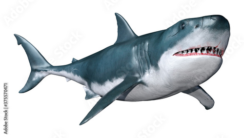 3D Rendering Shark on White