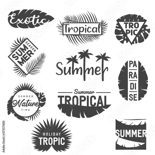 Collection vintage monochrome minimalistic composition with tropical leaf and inscription. Vector element for sticker, cover or print isolated on white background.