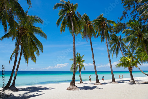 A group of people walking next to coconut trees along the clean White Beach of Boracay Island  Aklan  Visayas  Philippines  at a sunny day.