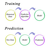 Training and prediction