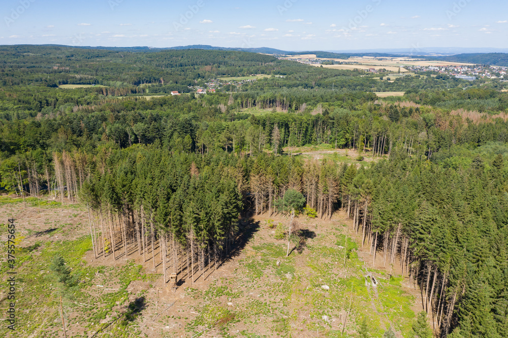 Bird's-eye view of a partially cleared forest in the Taunus / Germany
