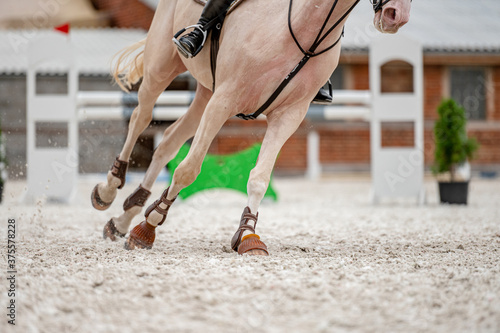 Detail of horse hooves from showjumping competition.