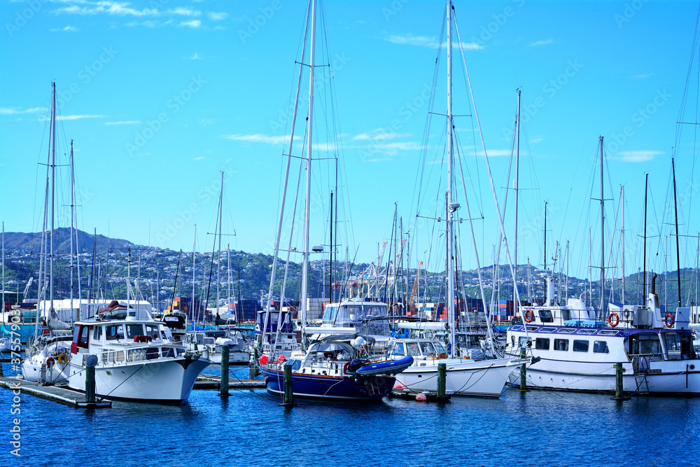 Sailing boats moored in marina near city centre of Wellington, New Zealand. Selective focus